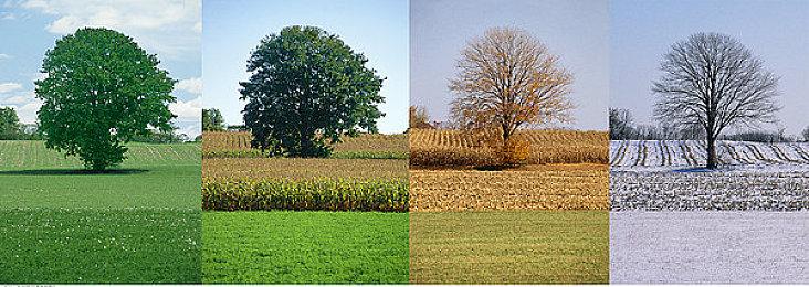 《街头霸王6》新增解说日本美少女大奖获得者高桥光